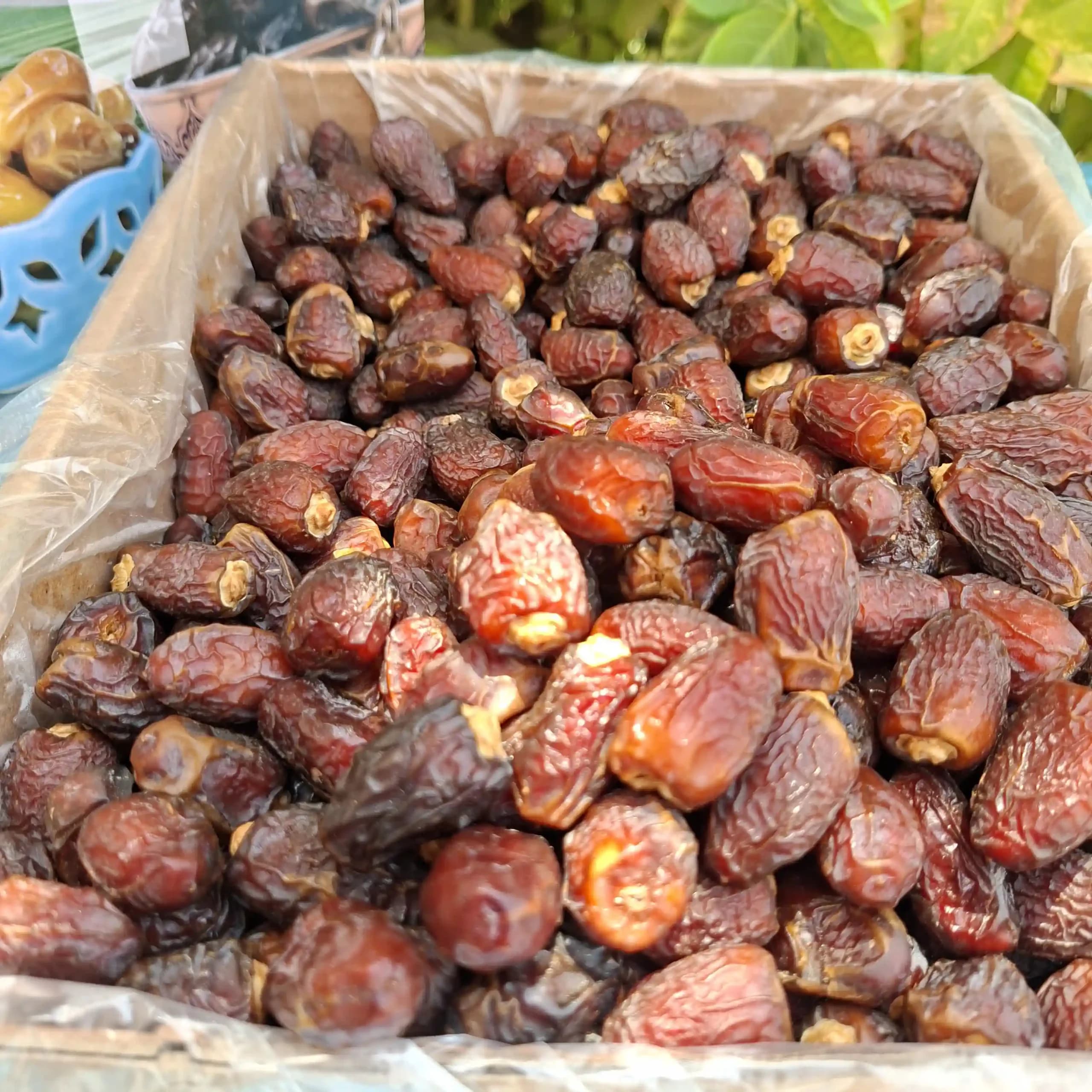 خرما بریمی 1کیلویی آجیلی — تصویر ۳