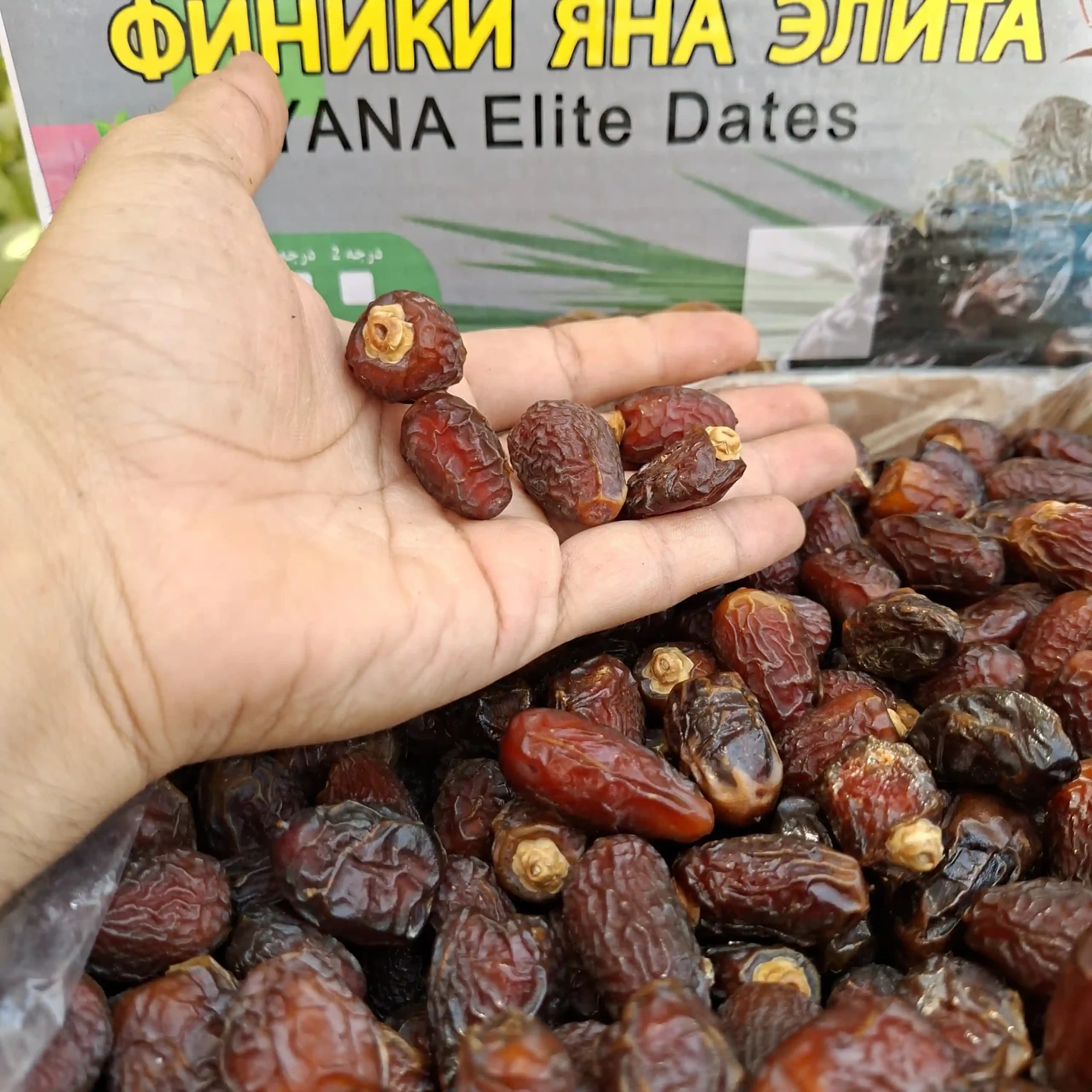 خرما بریمی 1کیلویی آجیلی — تصویر ۶