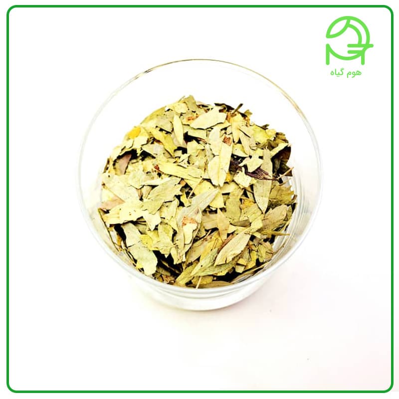برگ سنا؛ پاکسازی طبیعی بدن با یک گیاه قدیمی