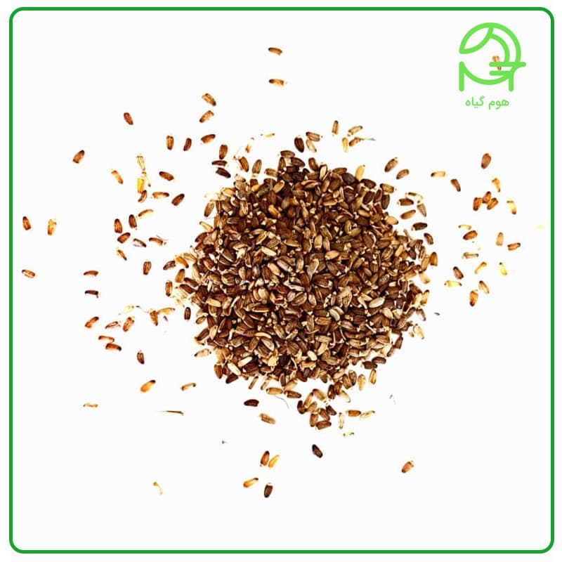 خار مریم؛ گیاه ضد سموم و محافظ کبد