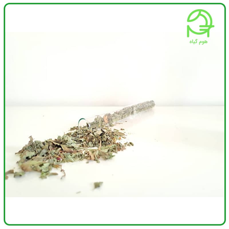بادرنجبویه + خواص و طریقه مصرف