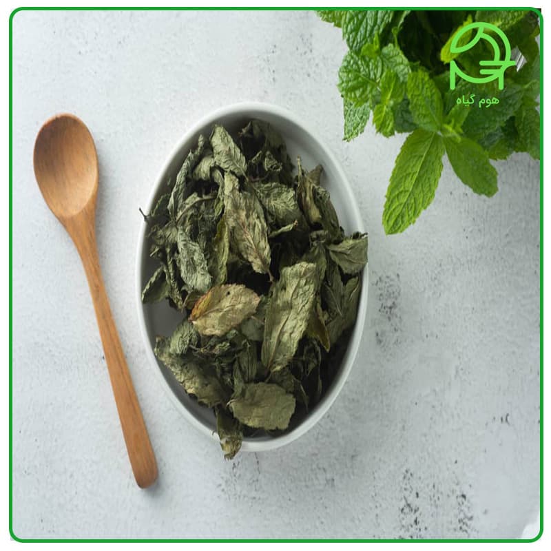 نعناع خشک خانگی