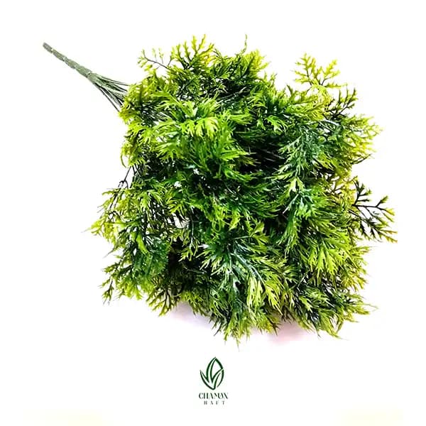 بوته مصنوعی سرو