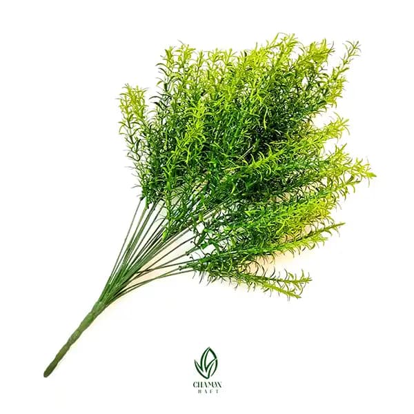 بوته شویدی سبز مصنوعی