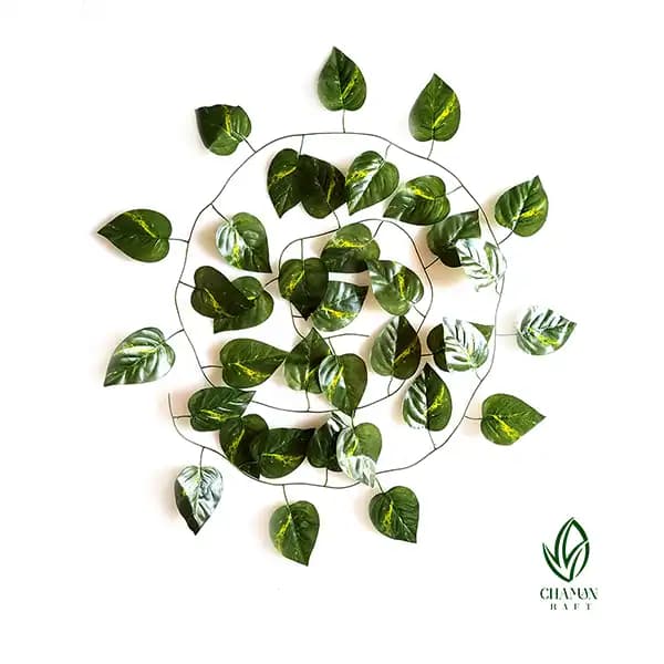 ریسه پتوس ابلق مصنوعی
