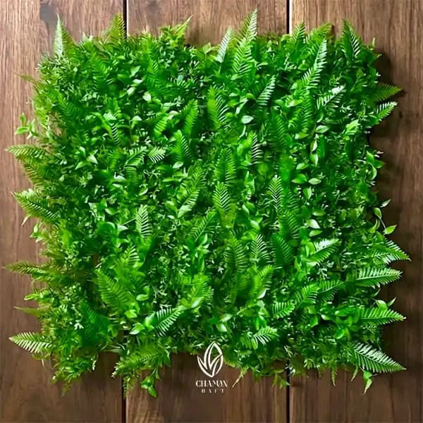 گرین وال طرح سیکاس کاج