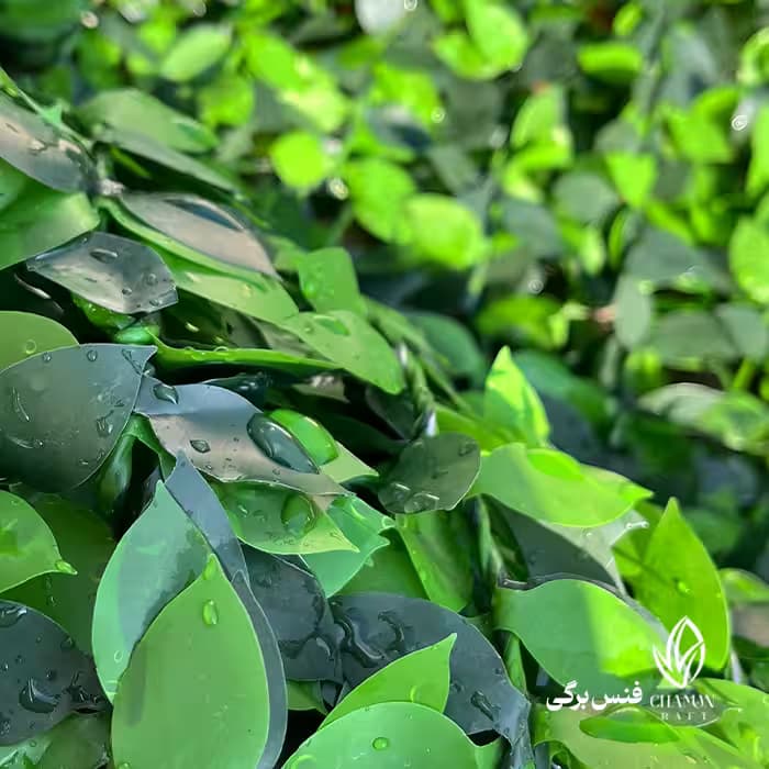 فنس برگی؛ فنس برگ مصنوعی مقاوم با مفتول گالوانیزه دوبل