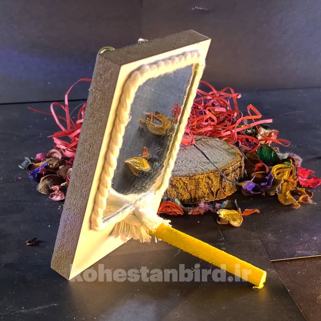 آینه درونی قفس — تصویر ۲
