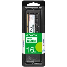رم کامپیوتر ای دیتا (Adata) AD5U560016G-S ظرفیت ۱۶ گیگابایت DDR5 فرکانس ۵۶۰۰ مگاهرتز تک کاناله CL46