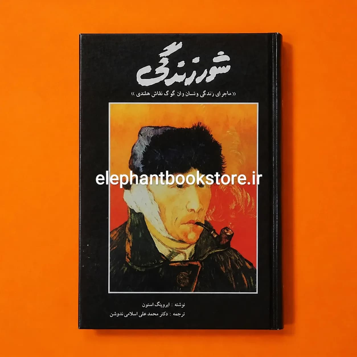 کتاب شور زندگی ترجمه محمدعلی اسلامی ندوشن
