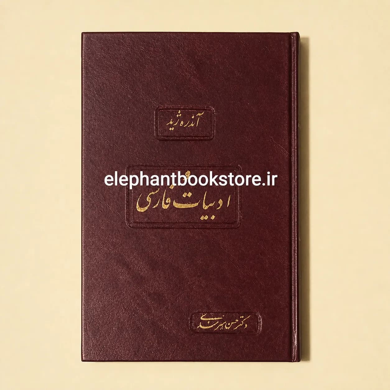 کتاب آندره ژید و ادبیات فارسی اثر دکتر حسن هنرمندی