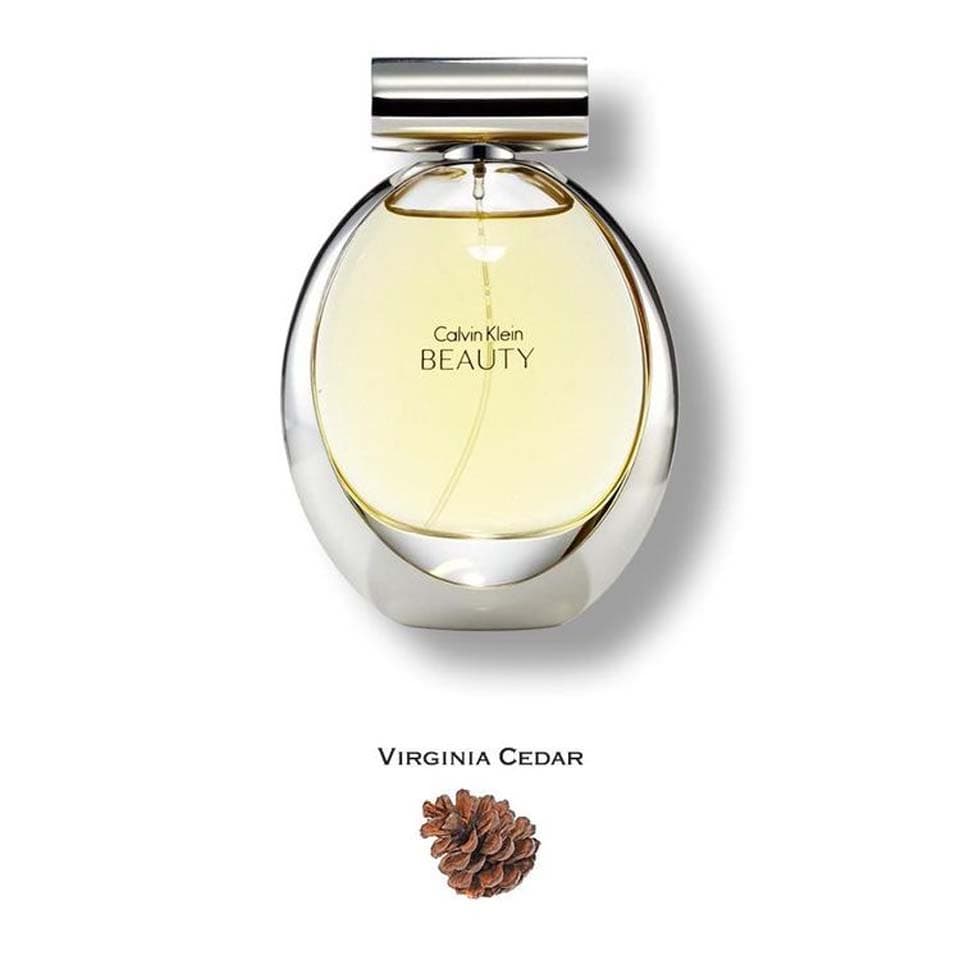 ادوپرفیوم کالوین کلین بیوتی Calvin Klein Beauty