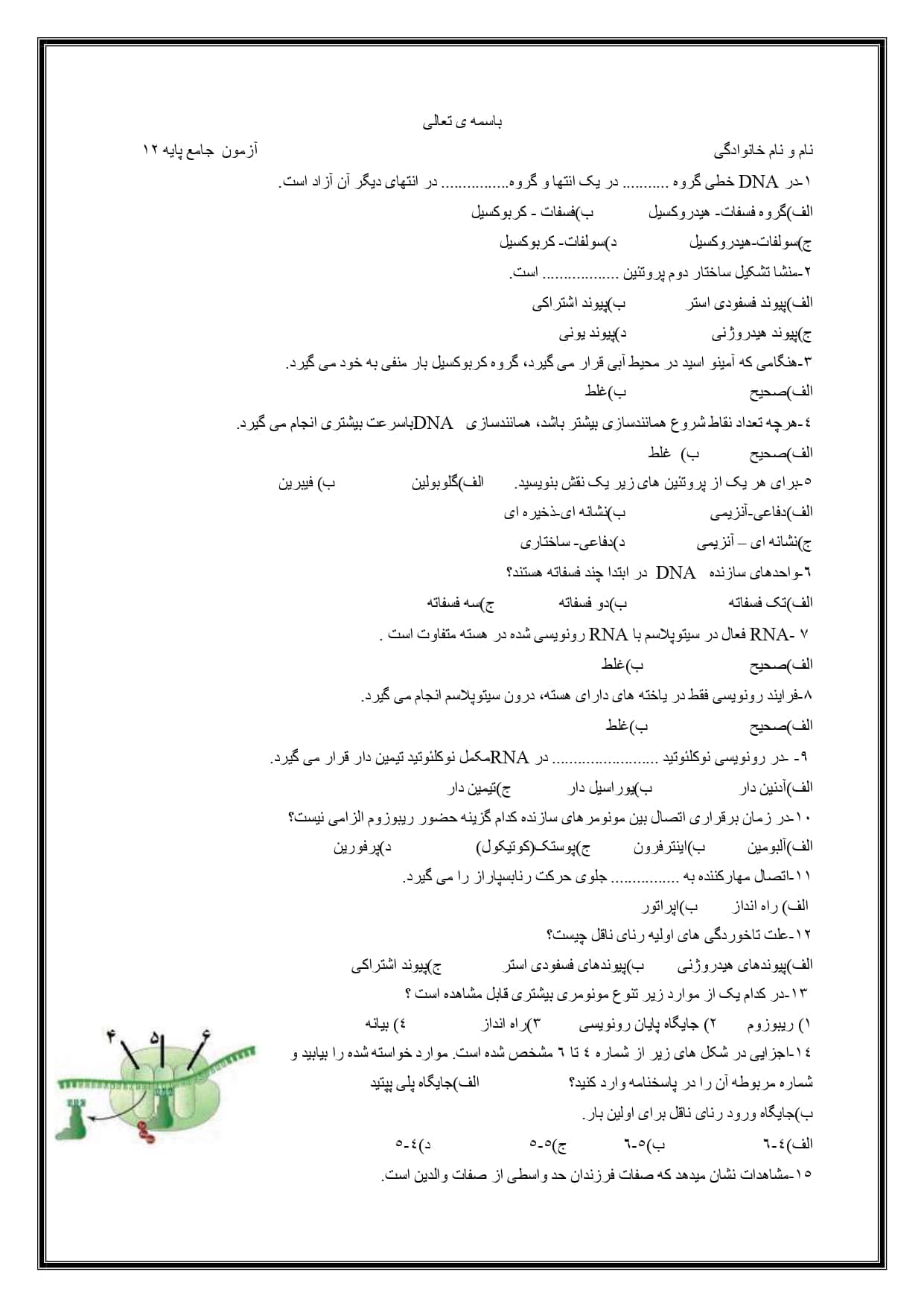 نمونه سوال تستی فصل 1 تا 8 زیست شناسی ویژه دوازدهم | با جواب