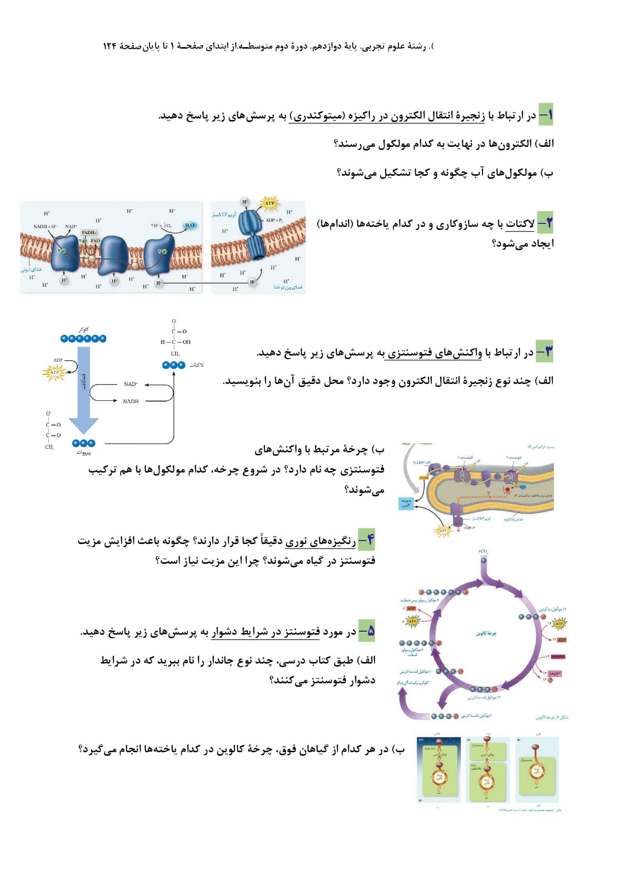 ارزیابی کلاسی فصل 1 تا 8 زیست شناسی دوازدهم رشته تجربی | با جواب