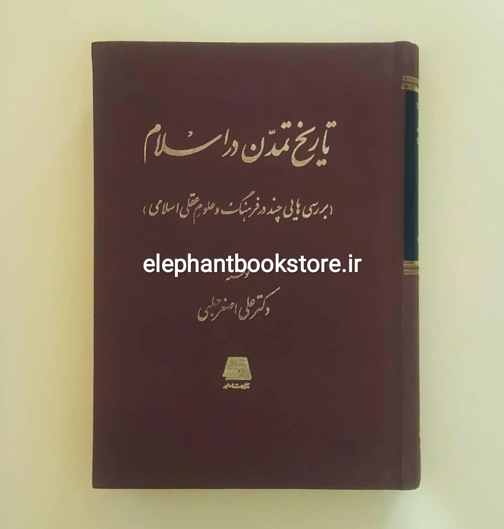 کتاب تاریخ تمدن در اسلام اثر دکتر علی اصغر حلبی