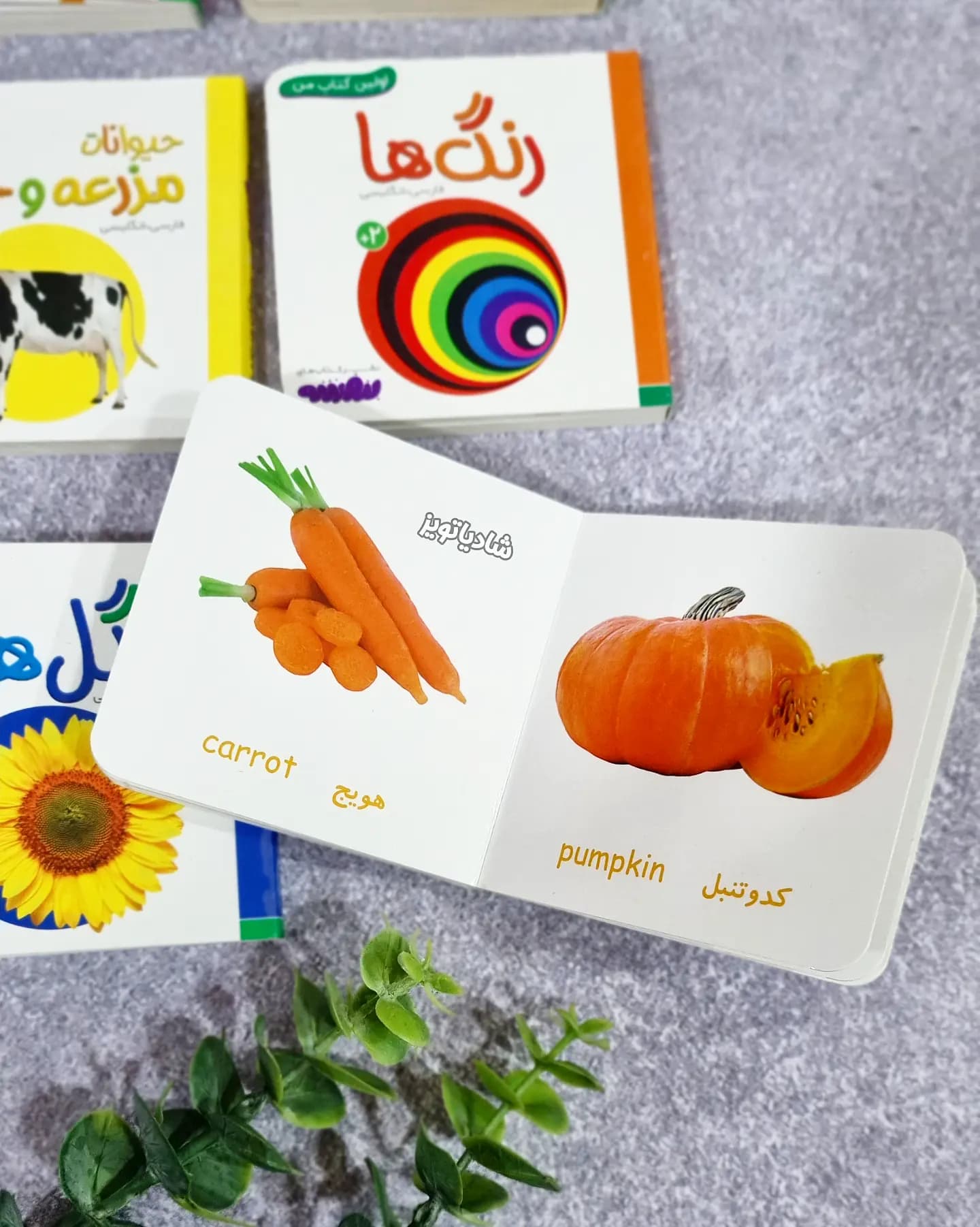 مجموعه ۱۰ جلدی قابدار اولین کتابخانه من — تصویر ۸