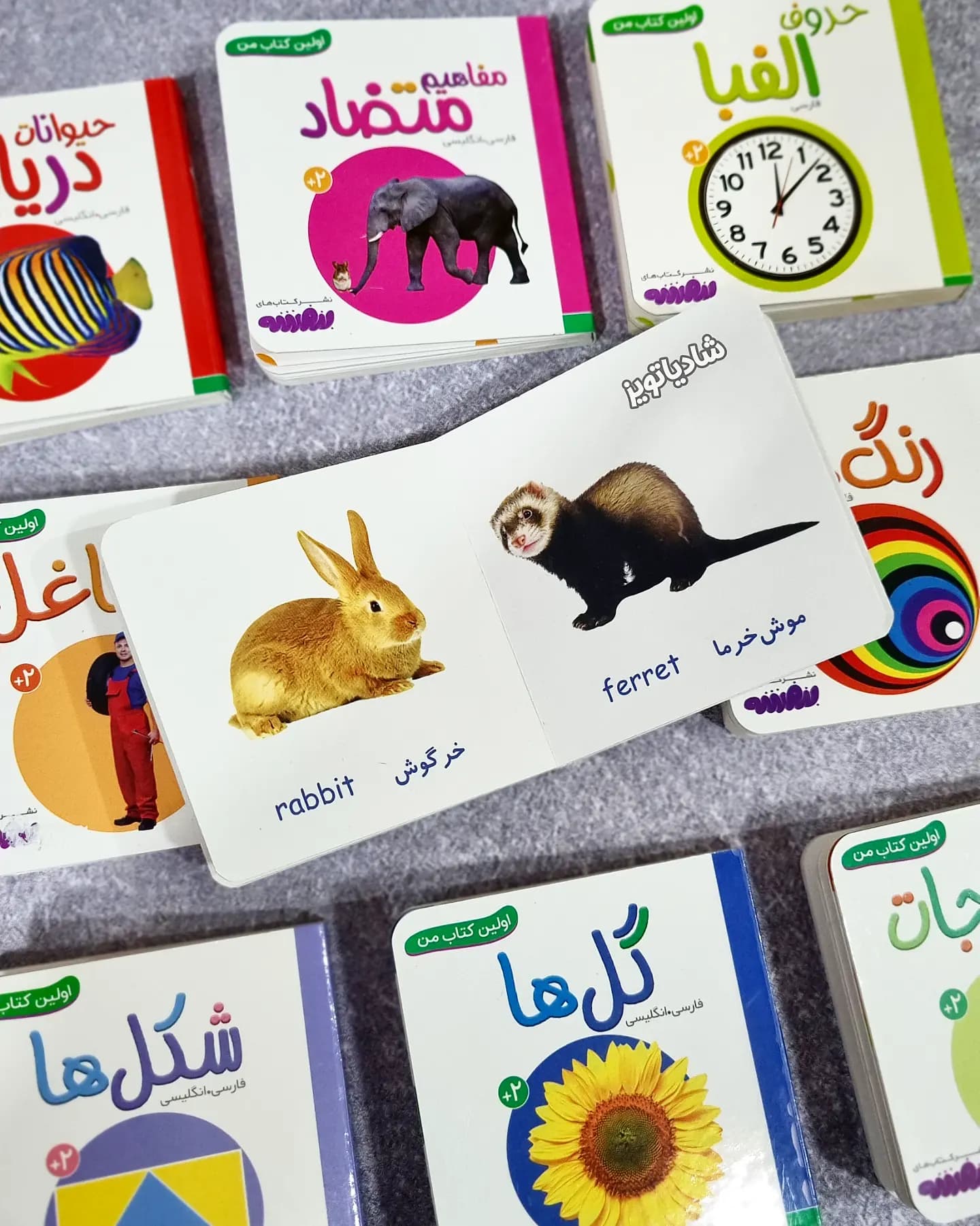 مجموعه ۱۰ جلدی قابدار اولین کتابخانه من — تصویر ۷