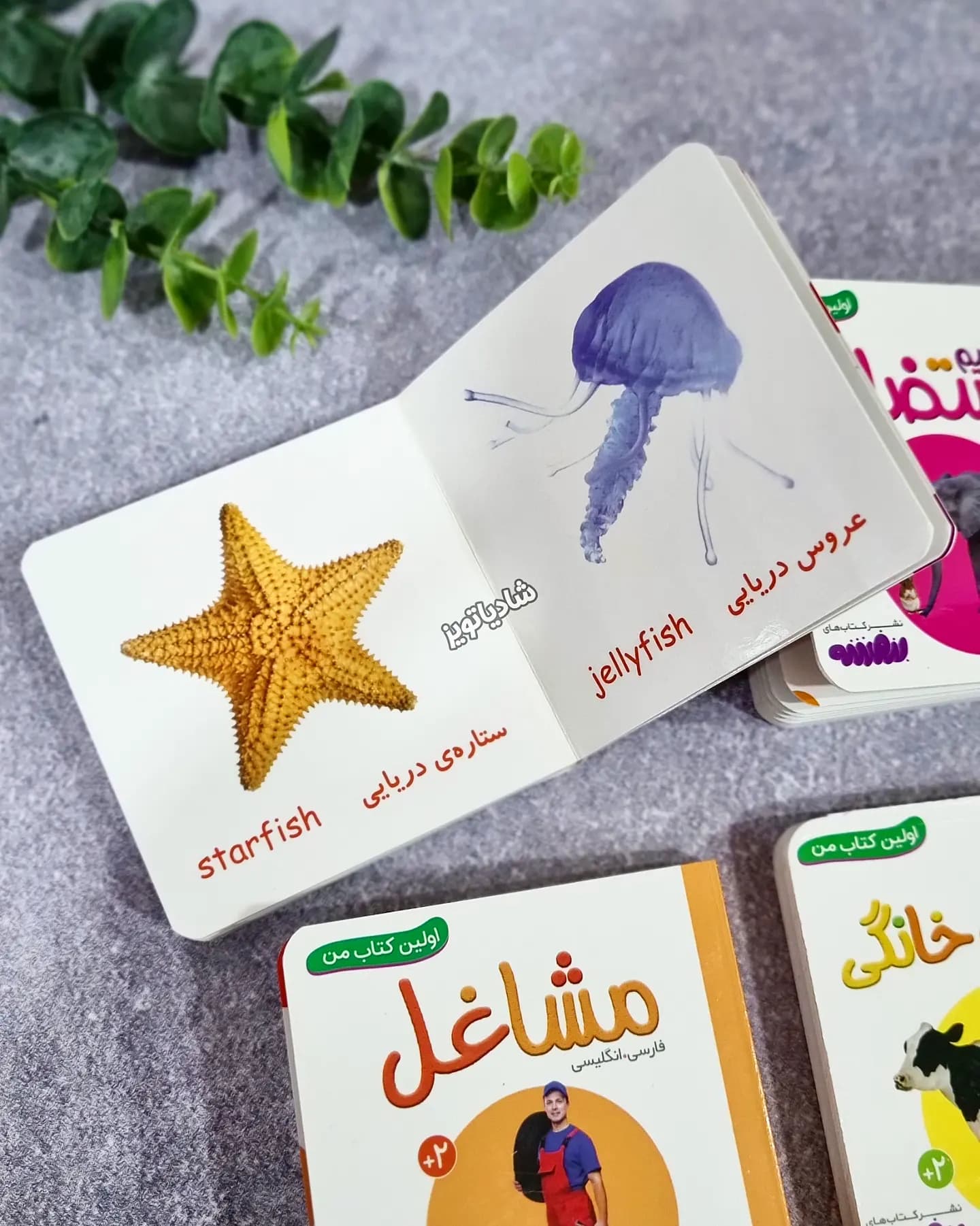 مجموعه ۱۰ جلدی قابدار اولین کتابخانه من — تصویر ۹
