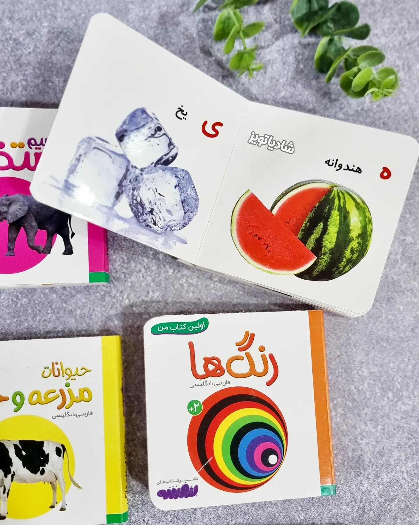 مجموعه ۲۰ جلدی قابدار اولین کتابخانه من — تصویر ۷