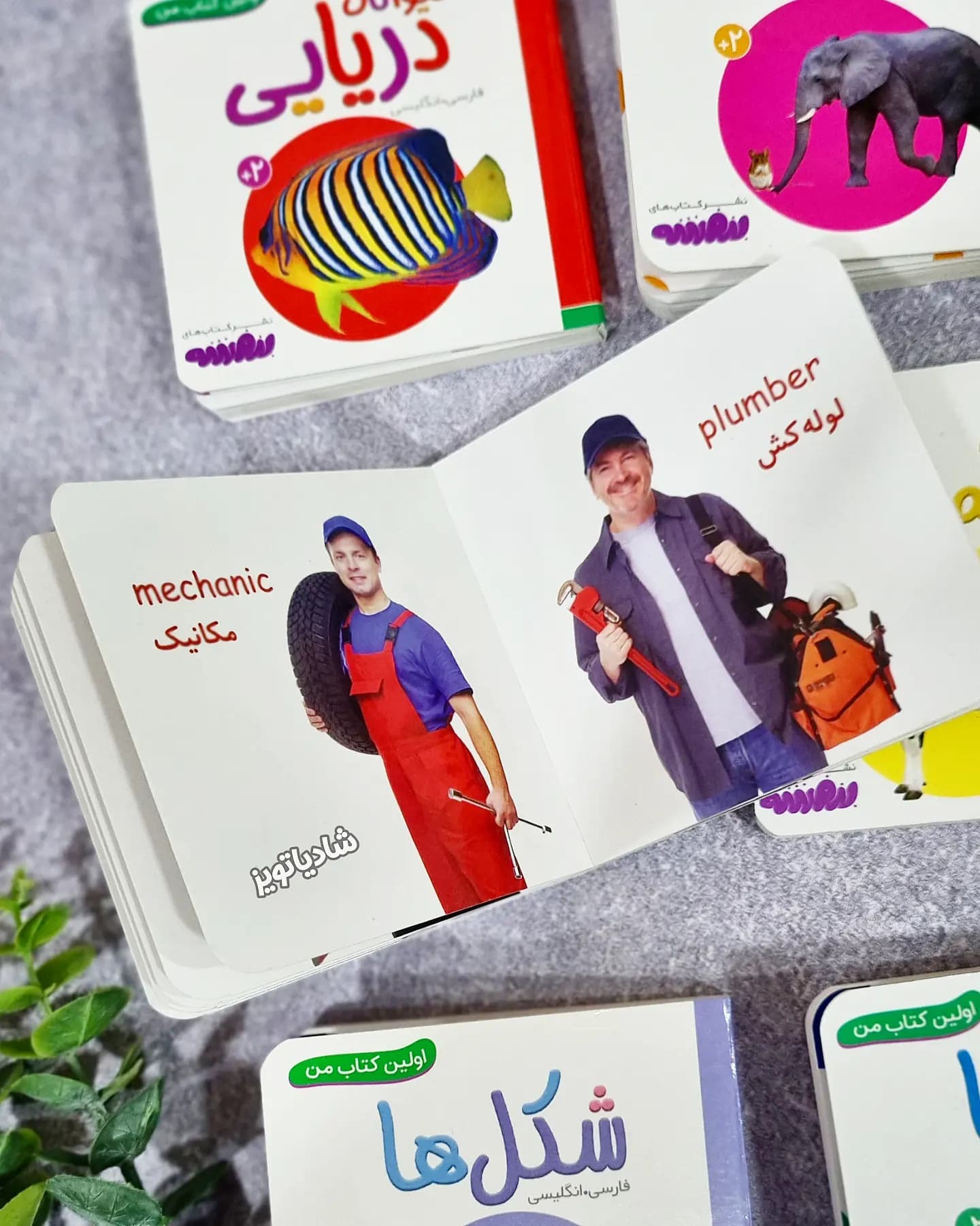 مجموعه ۲۰ جلدی قابدار اولین کتابخانه من — تصویر ۴