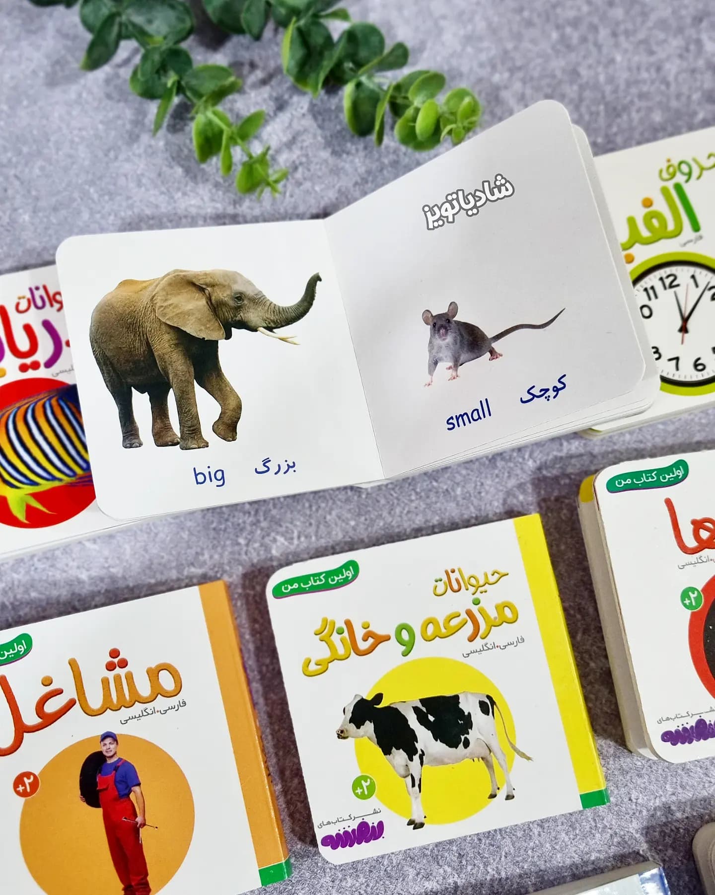 مجموعه ۲۰ جلدی قابدار اولین کتابخانه من — تصویر ۸