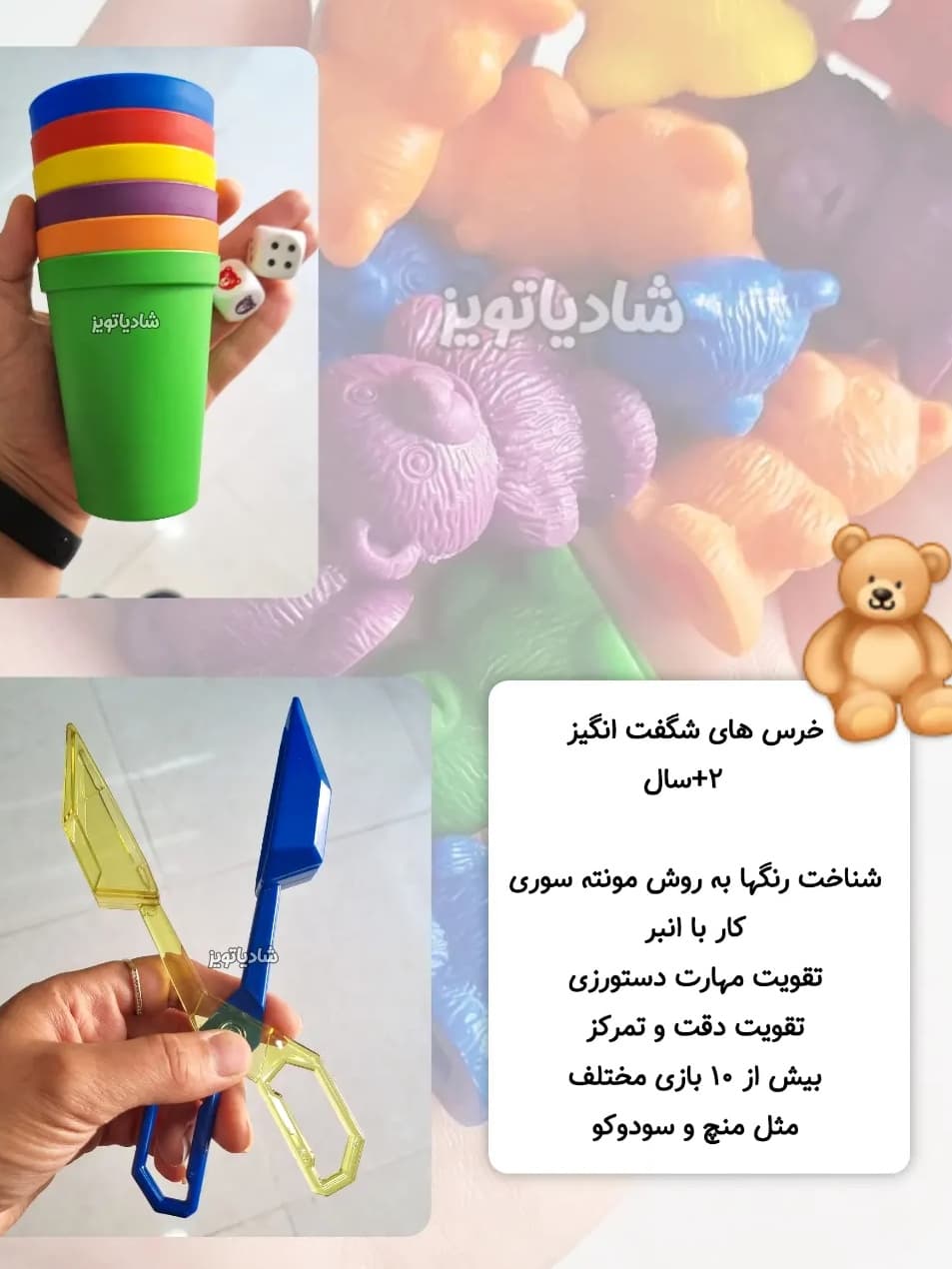 بازی فکری خرسهای شگفت انگیز — تصویر ۴