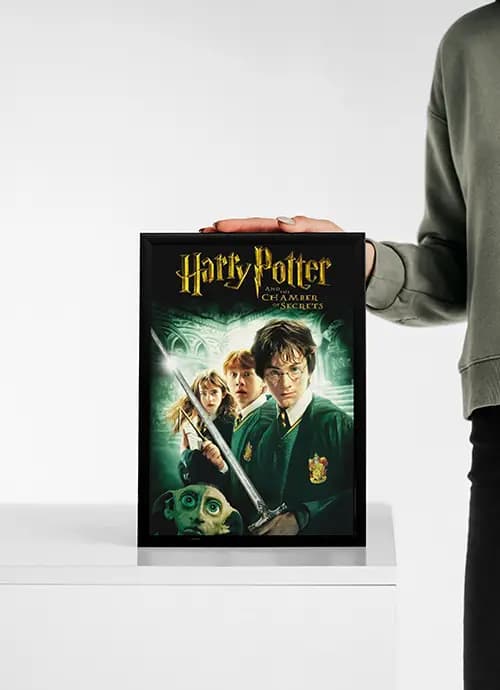 تابلو Harry Potter — تصویر ۳