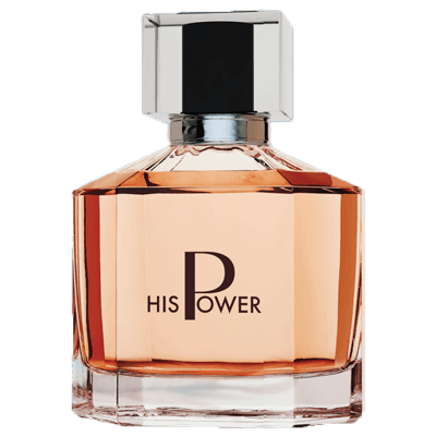 عطر مردانه Hıs Power Edp 100 ml