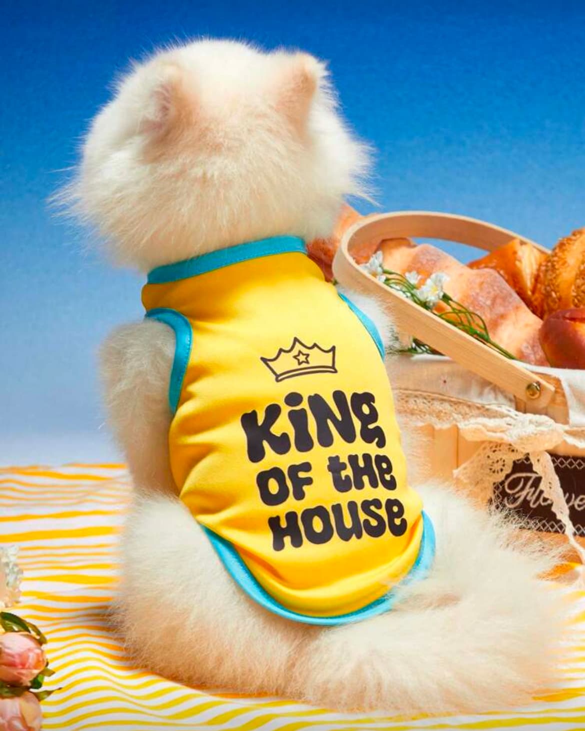 لباس سگ و گربه “King of the House”