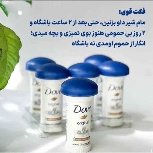 مام داو قارچی کرمی Original انگلیسیuk — تصویر ۳