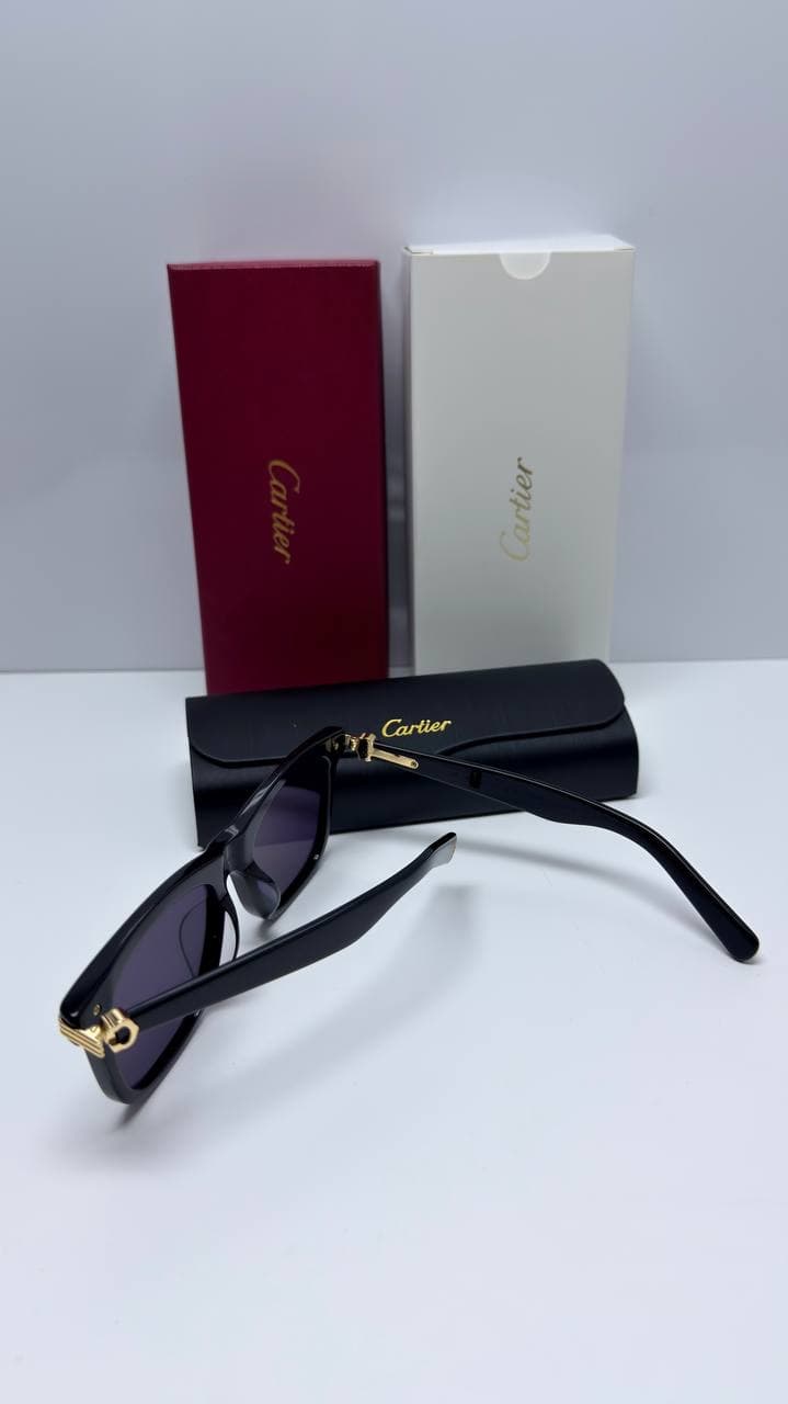 CARTIER MODEL CT0396S SUNGLASSES عینک آفتابی کارتیر مدل CT0396S — تصویر ۹