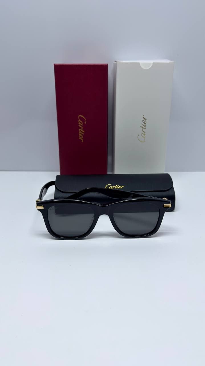 CARTIER MODEL CT0396S SUNGLASSES عینک آفتابی کارتیر مدل CT0396S — تصویر ۷