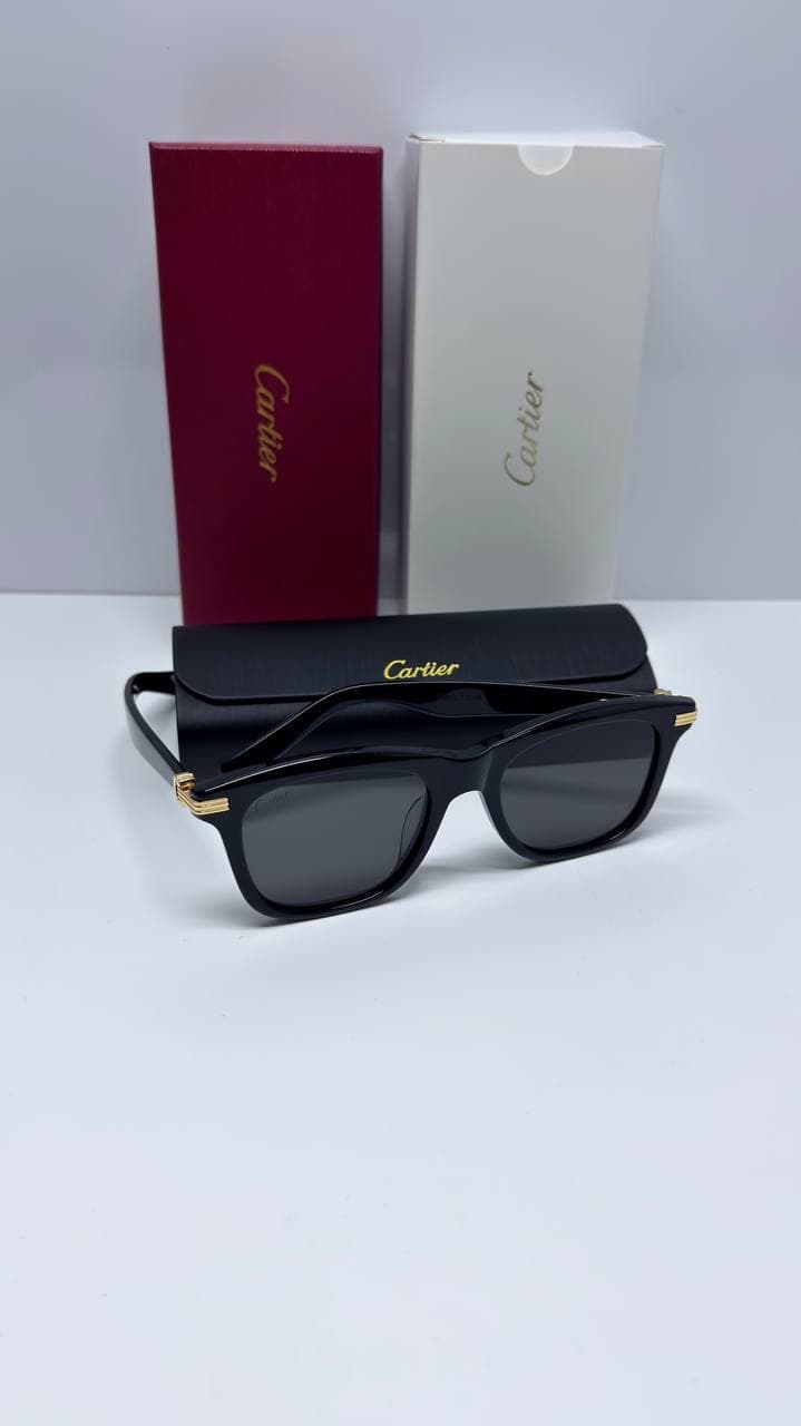 CARTIER MODEL CT0396S SUNGLASSES عینک آفتابی کارتیر مدل CT0396S — تصویر ۶