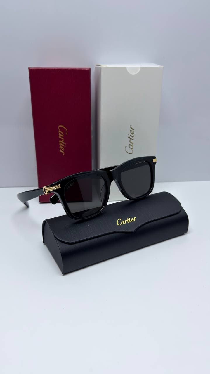 CARTIER MODEL CT0396S SUNGLASSES عینک آفتابی کارتیر مدل CT0396S — تصویر ۸