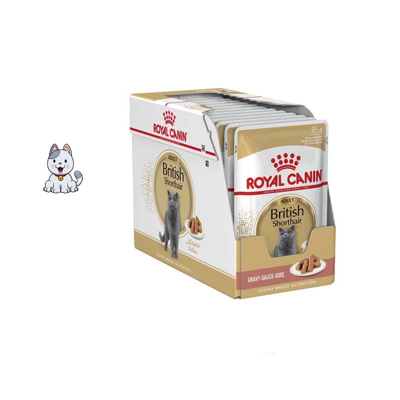 پوچ گربه بریتیش رویال کنین 85 گرم Royal Canin British