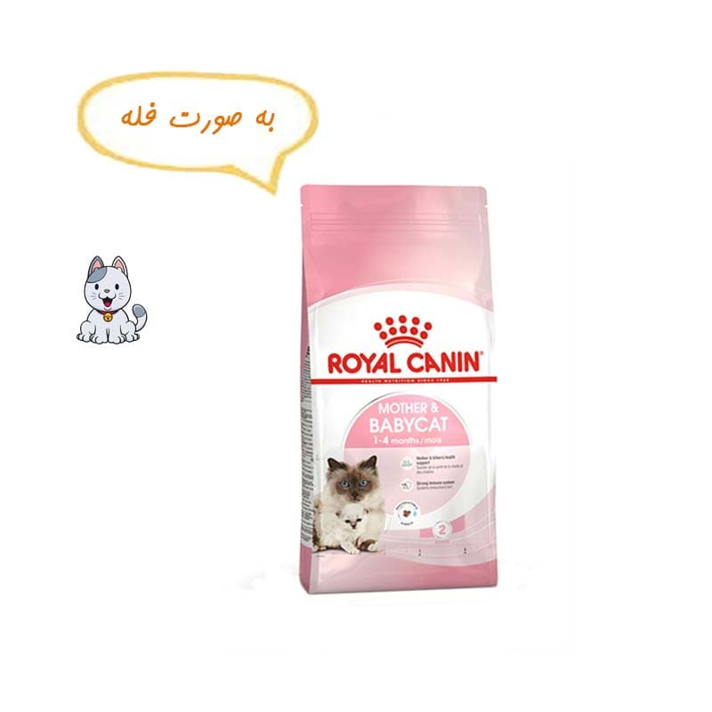 غذا خشک گربه مادر و بچه رویال کنین یک کیلوگرم (فله) Royal Canin Mother & Babycat
