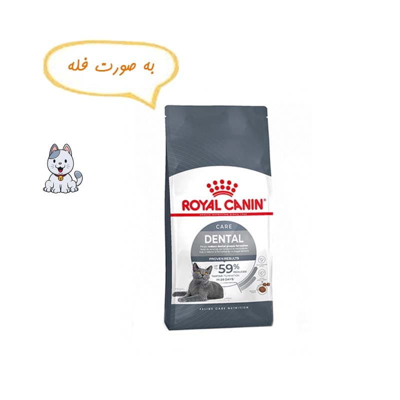 غذا خشک گربه مراقبت دندان دنتال رویال کنین نیم کیلوگرم Royal Canin Dental