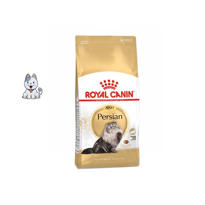 غذا خشک گربه پرشین رویال کنین 4 کیلوگرم Royal Canin Persian