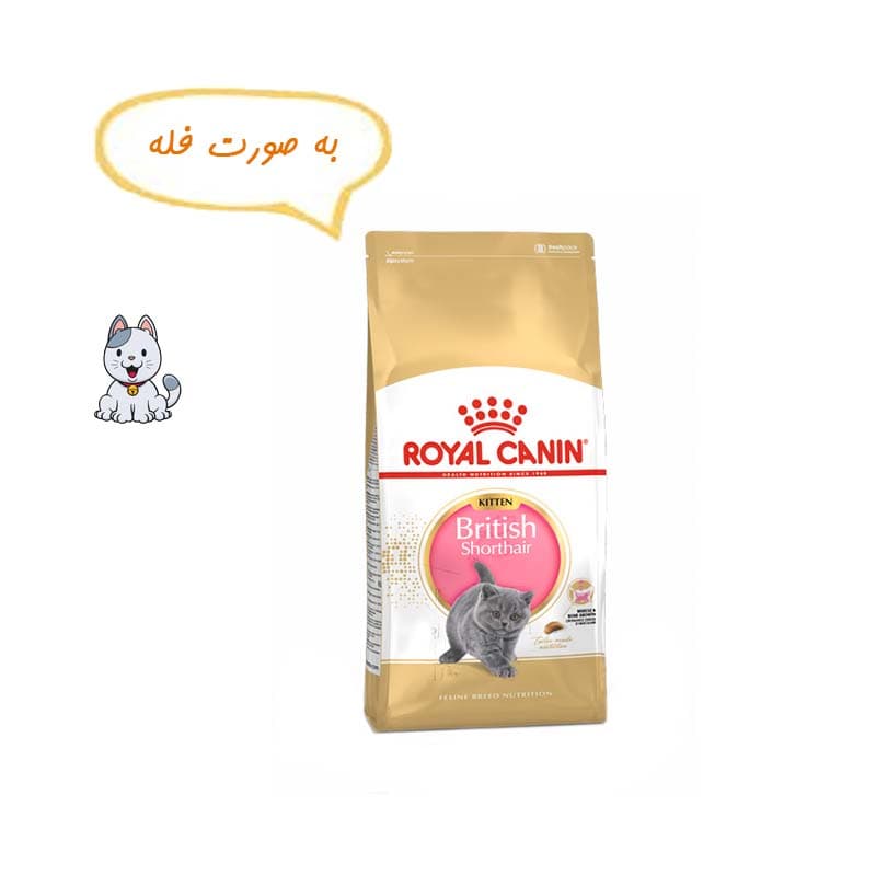 غذا خشک بچه گربه بریتیش رویال کنین نیم کیلوگرم Royal Canin Kitten British Shorthair