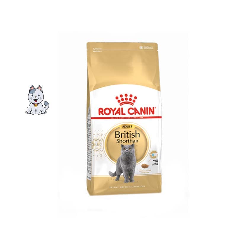 غذا خشک گربه بریتیش رویال کنین 4 کیلوگرم Royal Canin British Shorthair