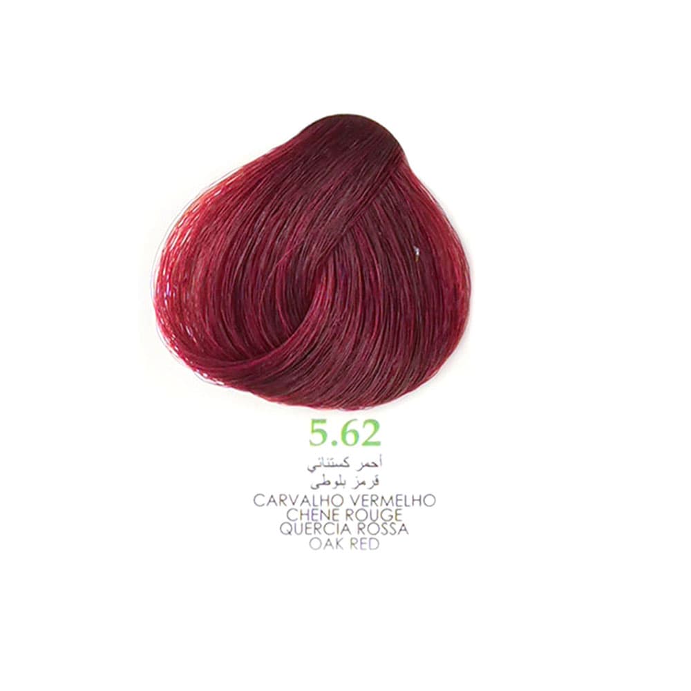 رنگ مو کم آمونیاک120 میل گارنیک 5.62 قرمز بلوطی GARNIC OAJ RED — تصویر ۳