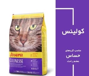غذا خشک گربه جوسرا کولینس Culinesse — تصویر ۳