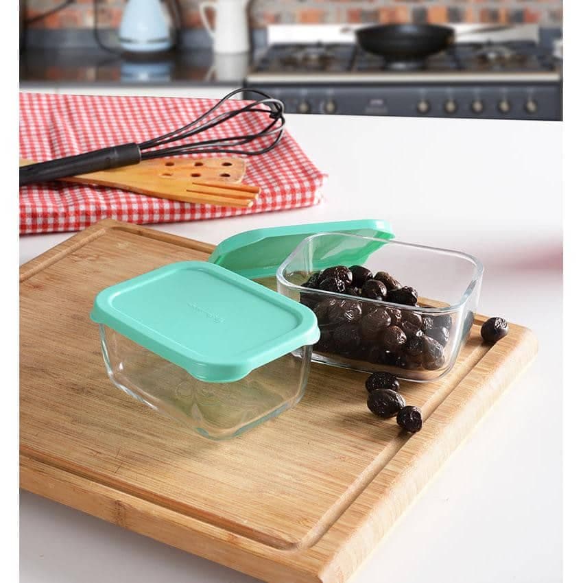 ظرف نگهدارنده پاشاباغچه مدل SNOWBOX-53733
