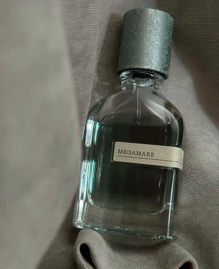ادکلن اورتوپاریسی مگاماره (مشابه اورجینال) — تصویر ۳