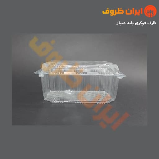 ظرف فوکری بلند صبار – کارتن 300 عددی