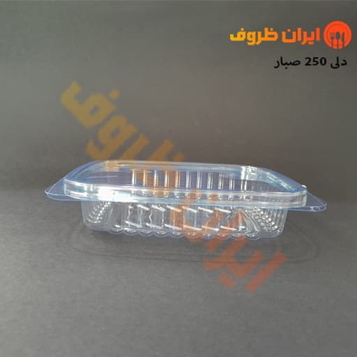 ظرف دلی 250 سی سی صبار(دلی کوتاه) – کارتن 450 عددی