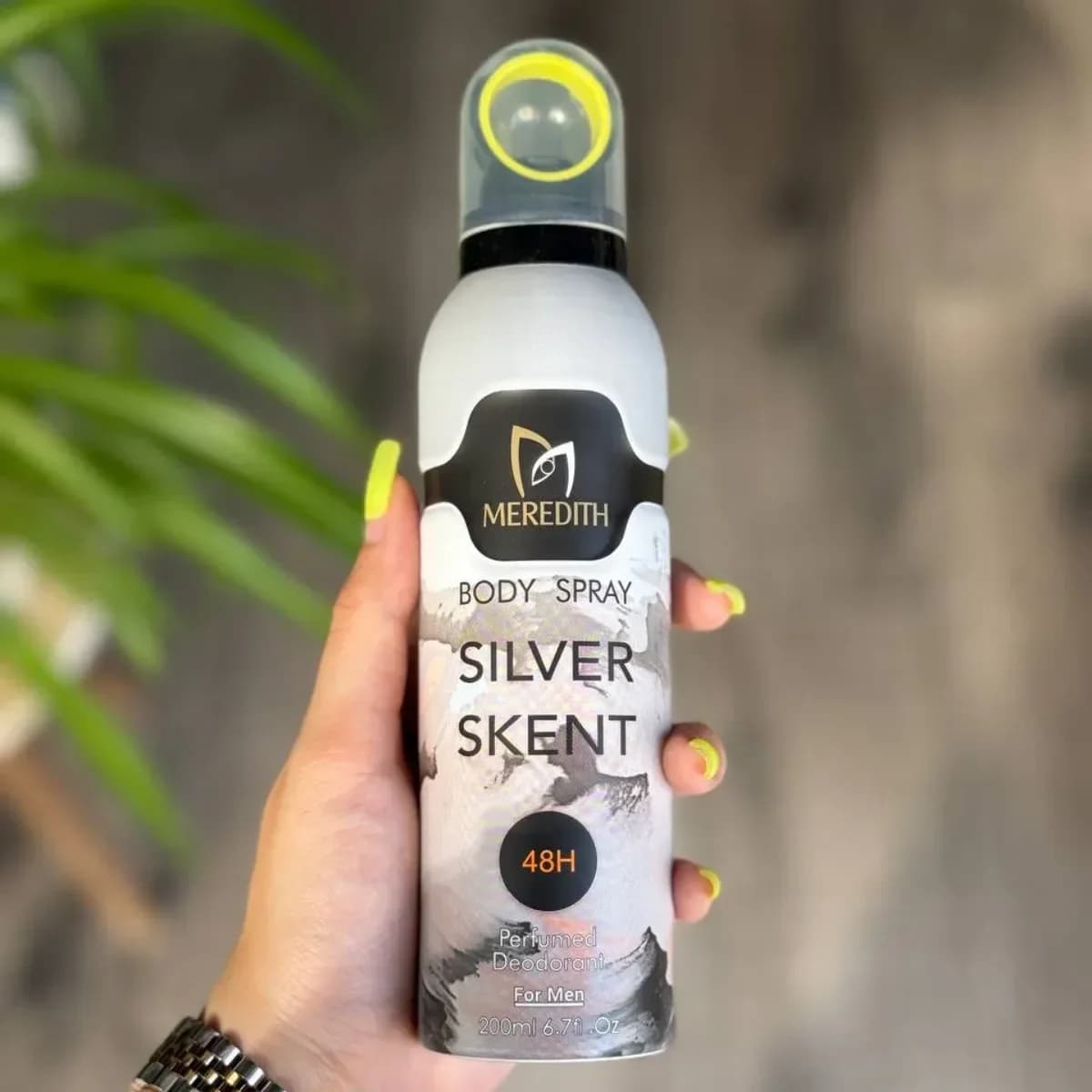 اسپری خوشبو کننده بدن مردانه مردیت مدل Silver Skent