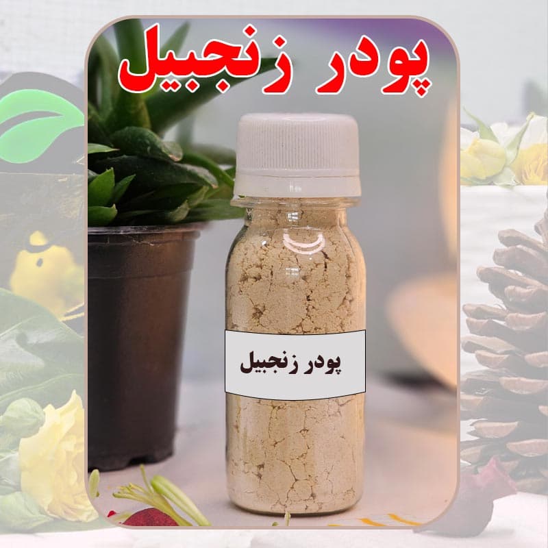پودر زنجبیل دکتر طسام گرم کننده مفاصل