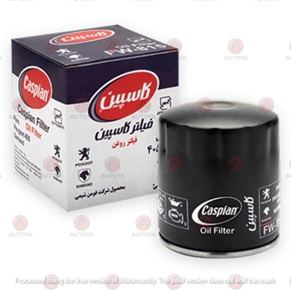 فیلتر روغن کاسپین مناسب برای پژو 405