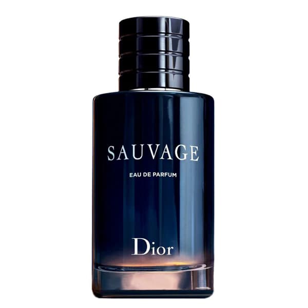 ادکلن ادو پرفیوم مردانه ساواج دیور حجم 100 میل با رایحه خنک SAUVAGE